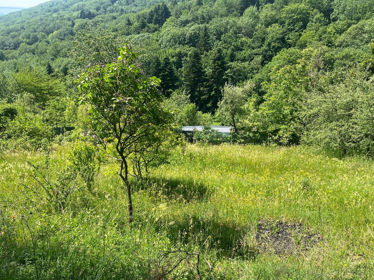 Pozemok na rekreačné účely - 2