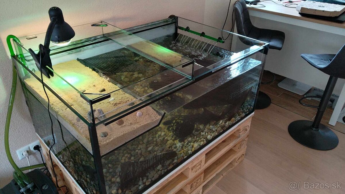 PREDAM VELKE AKVARIUM PRE VODNU KORYTNACKU - 2