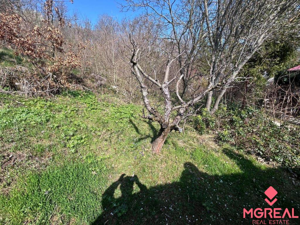 Predaj záhrady spolu s rekreačnou chatkou - 2