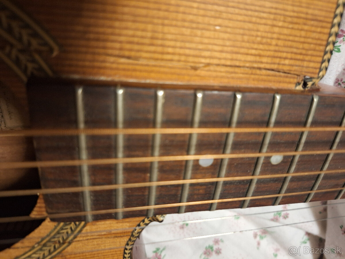 gitara Dowina - 2