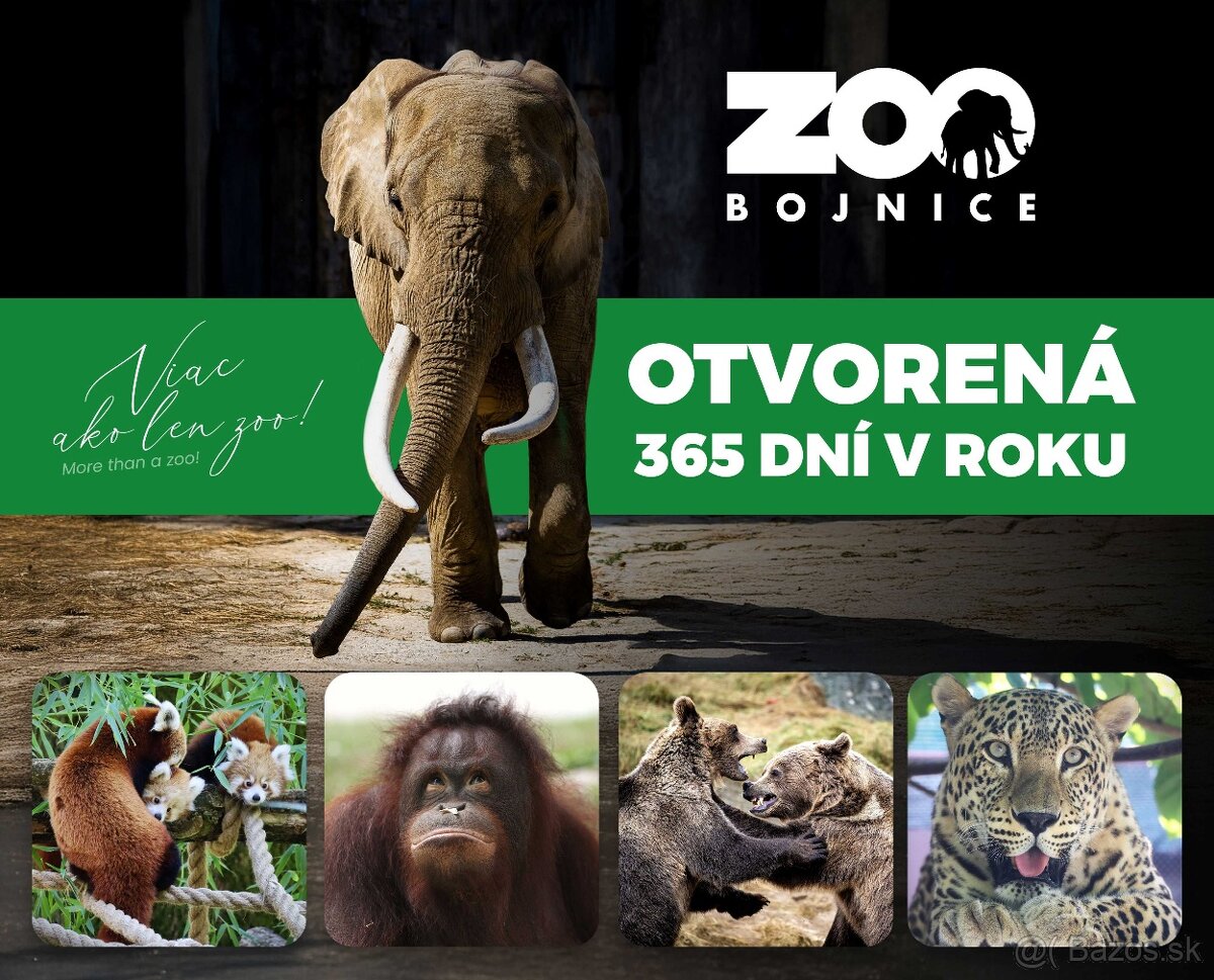 Rodinná vstupenka do ZOO Bojnice. - 2