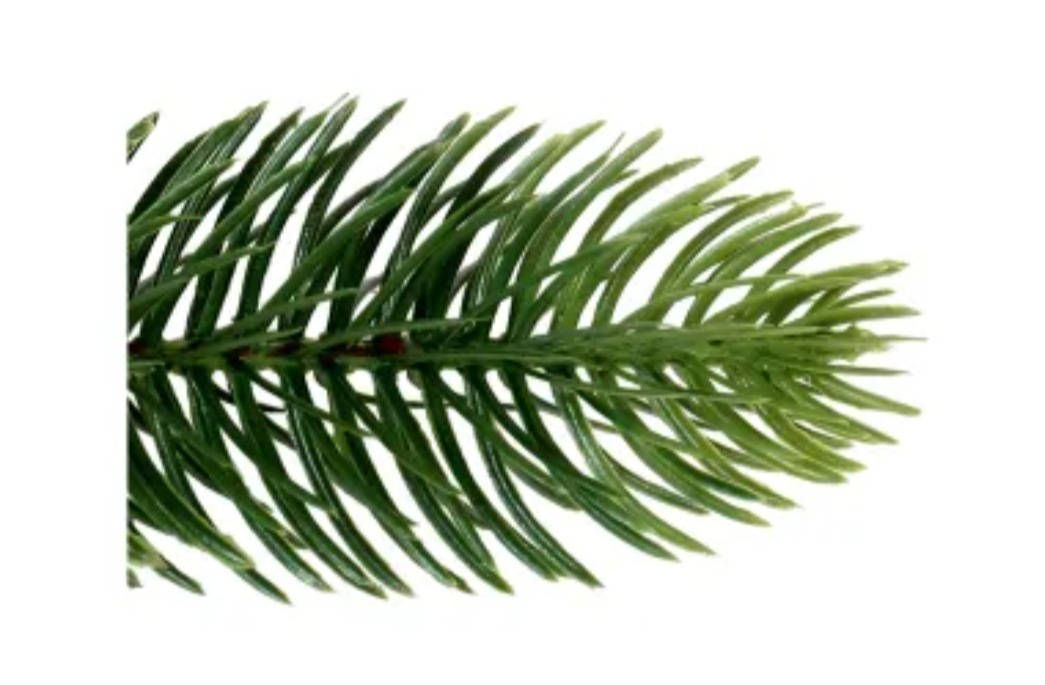 Vianočný stromček NAGANO 210CM - 2