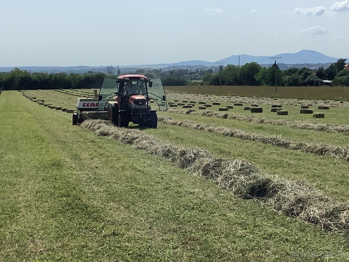 predám seno malé hranaté balíky - 2