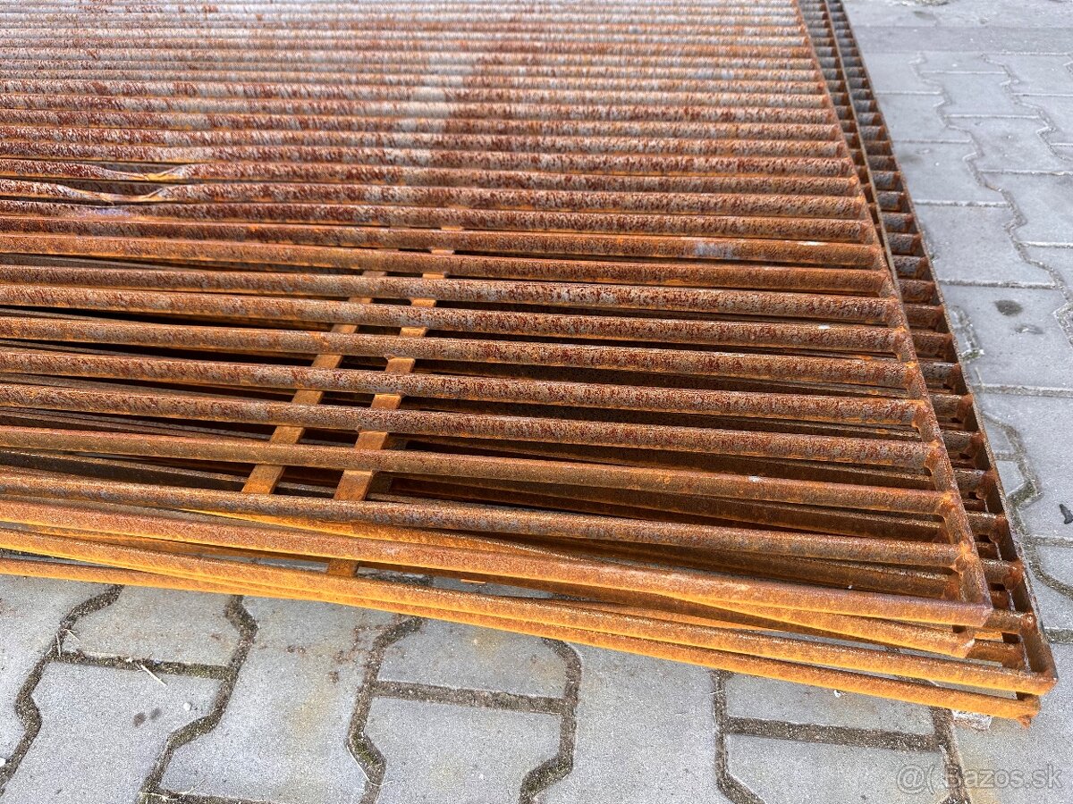 Zelezne rosty z pasoviny - 2