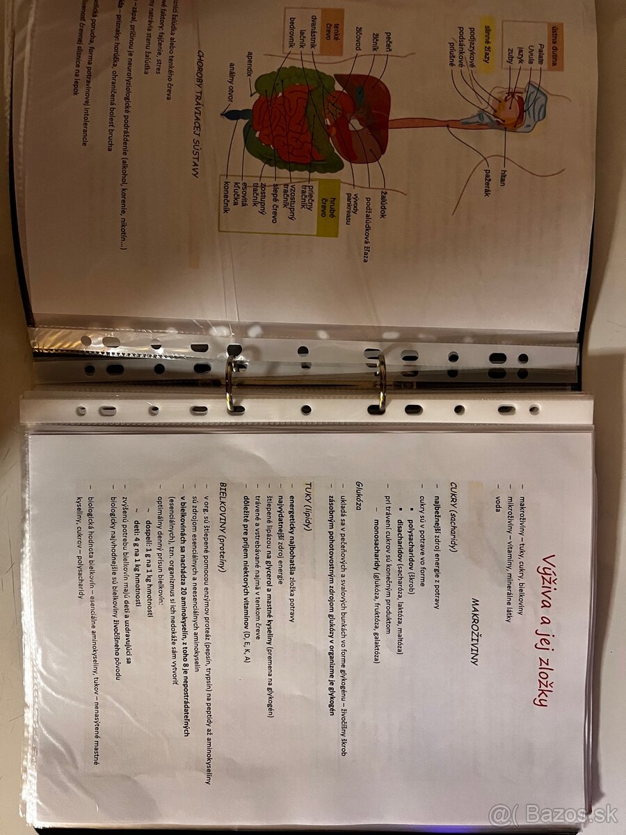 Maturita z biológie podklady - 2