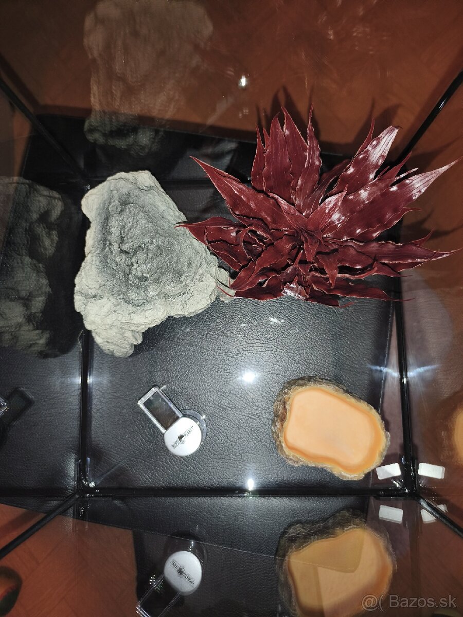 Repti planet terárium 30x30x30 - 2