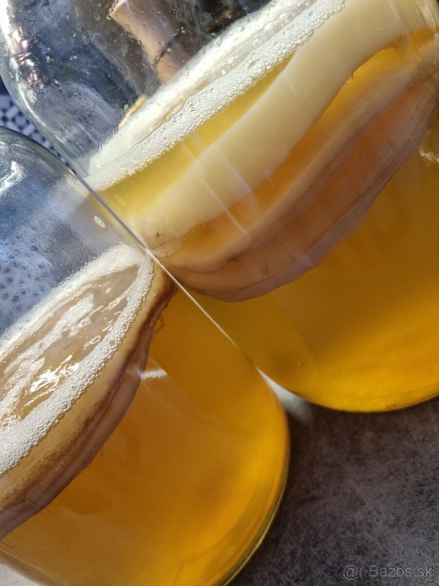 Kombucha - 2