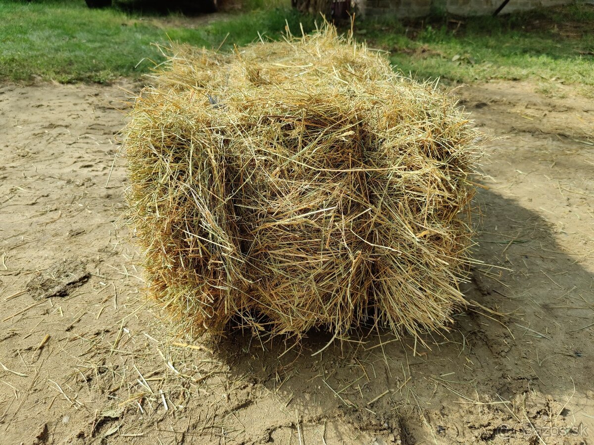 Predám kvalitné lúčne seno. - 2