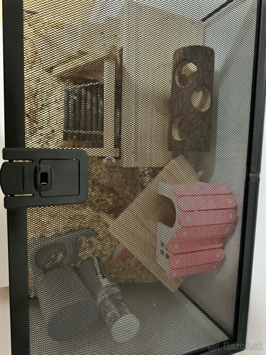 Predam terrarium - 2