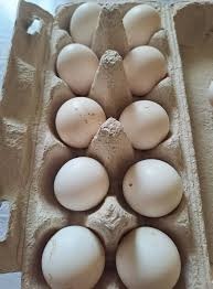 Nasadové vajíčka- Hodvábnička - 2