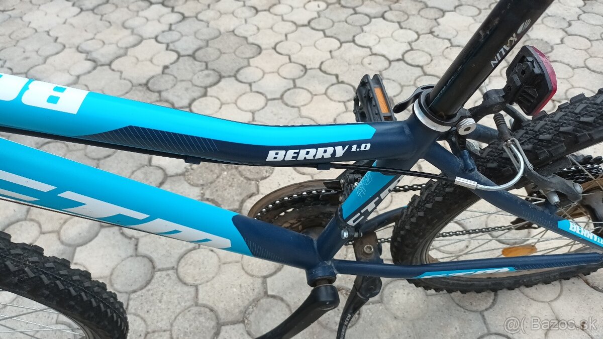 Detsky bike ctm 24 - 2