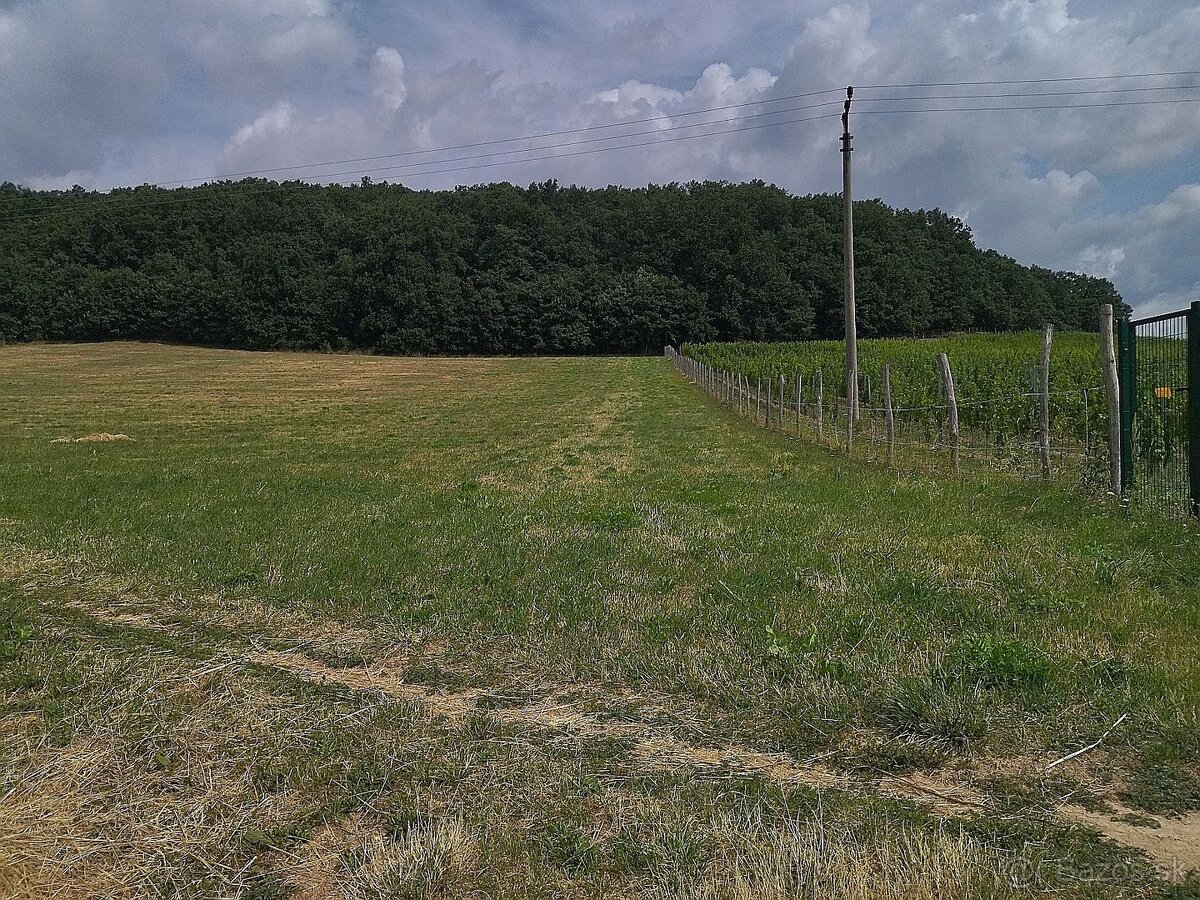 Na predaj budúci stavebný pozemok, pri Trnave, Lošonec - 2