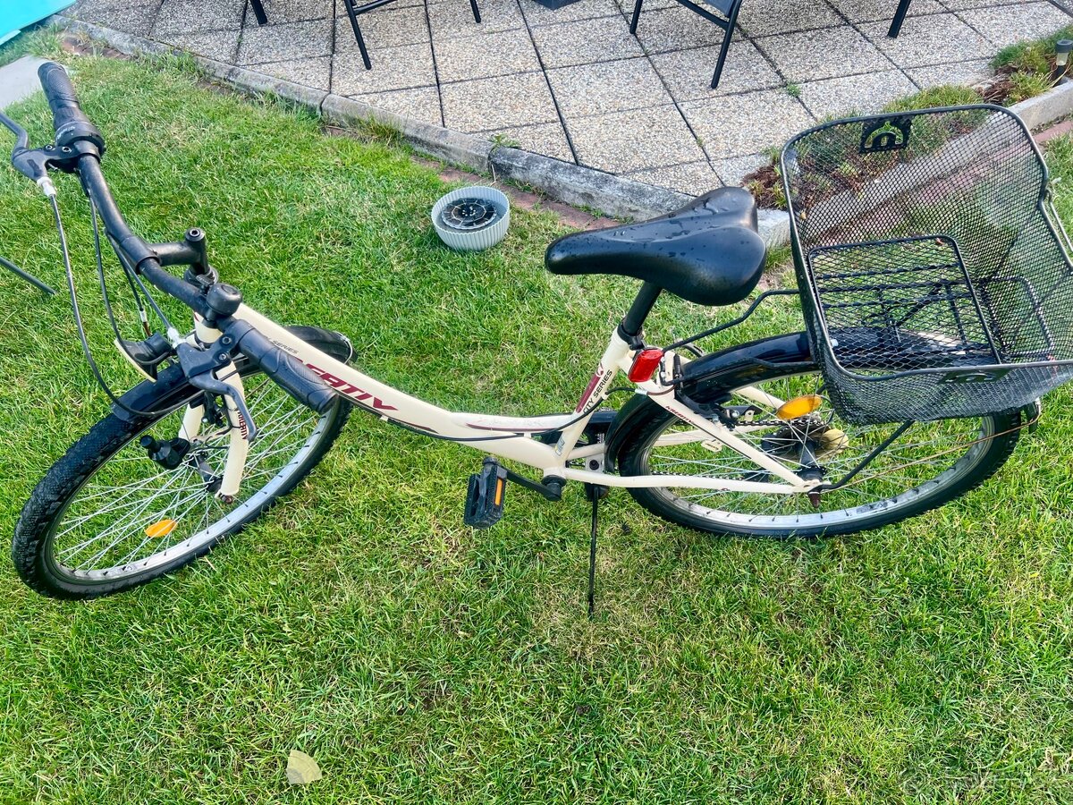 Dámsky bicykel - 2