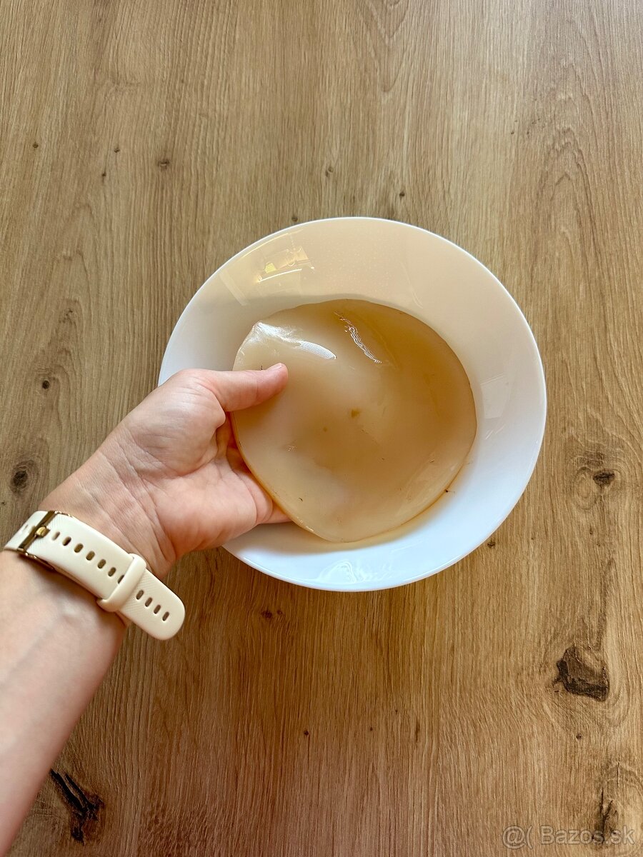 Predám SCOBY / Kombucha - 2