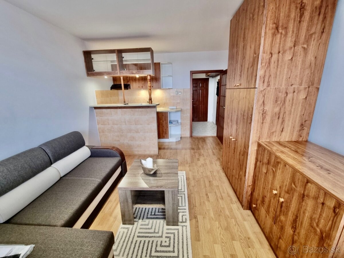 ‼️Pekná zariadená veľká garsonka na prenájom v NZ‼️ - 2