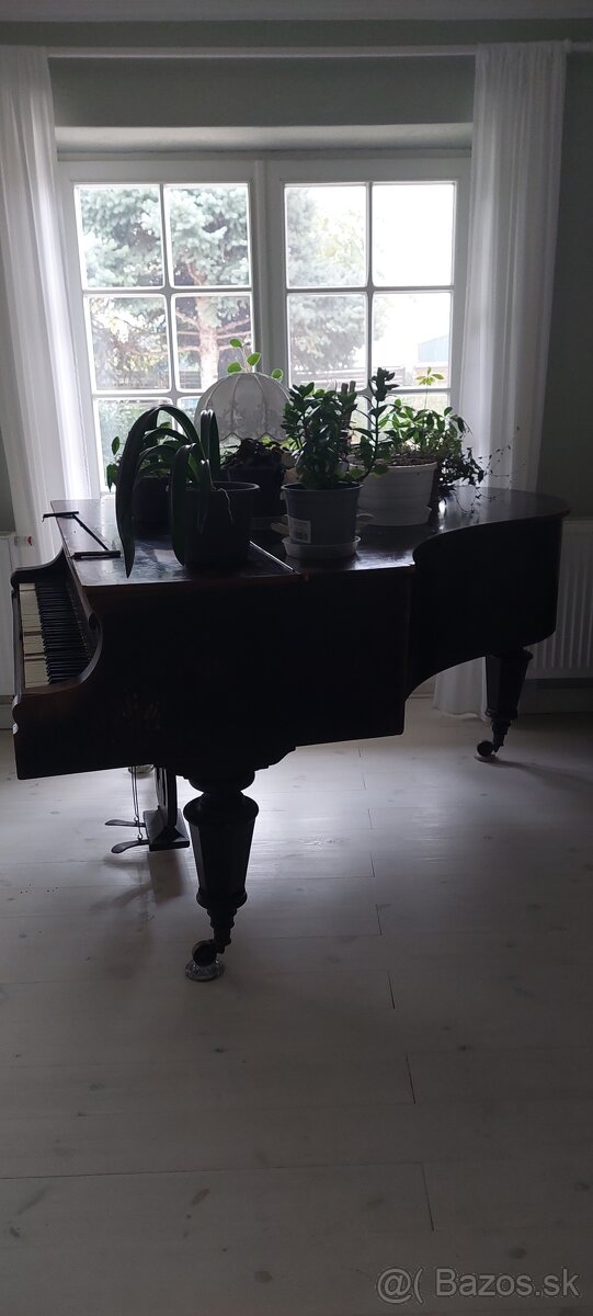 Starožitné krídlo na predaj - 2