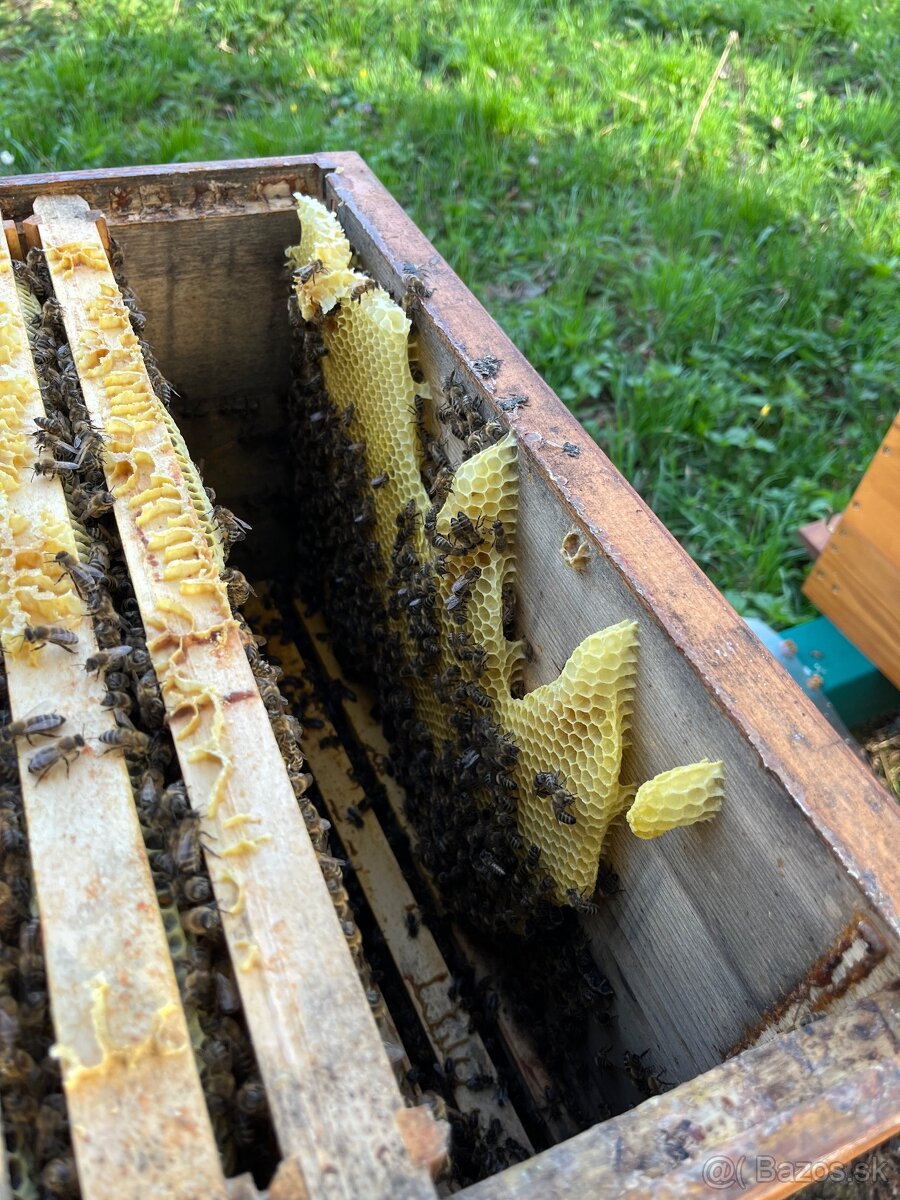 Včely, rámiková miera B - 2