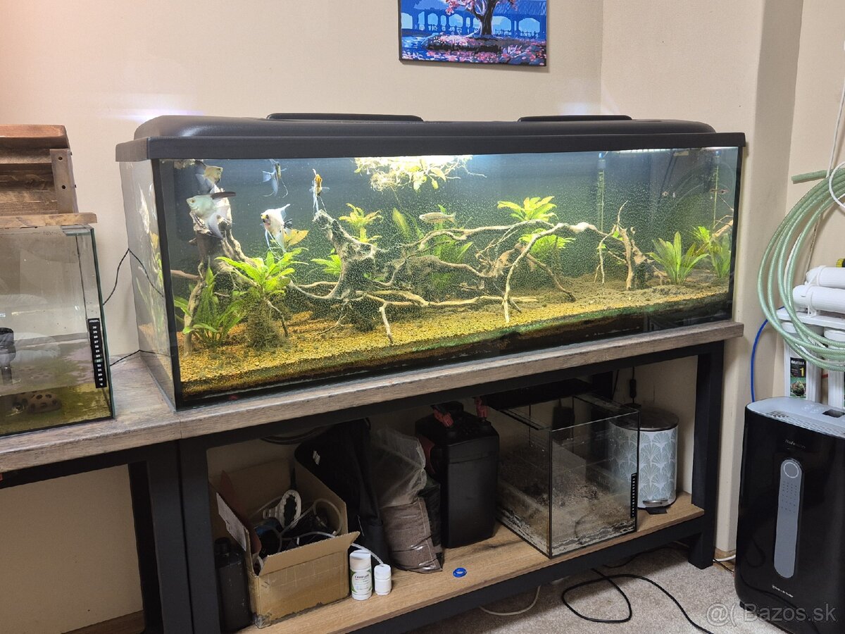 Predám Akvárium 150x50x50 - 2