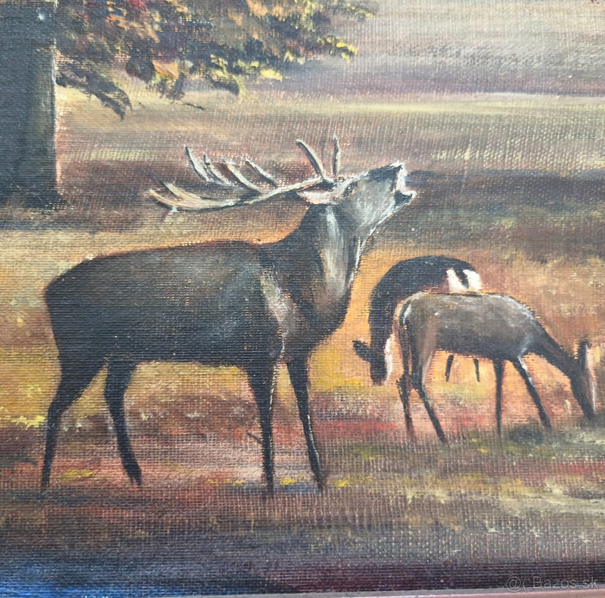 Maľovaný jelen - 2