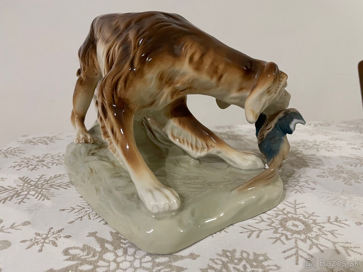 Royal dux - poľovnícky pes - 2