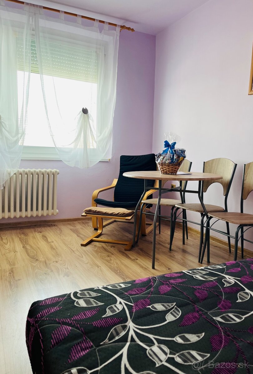 Prenájom 1-izbového bytu-garsónky - 2