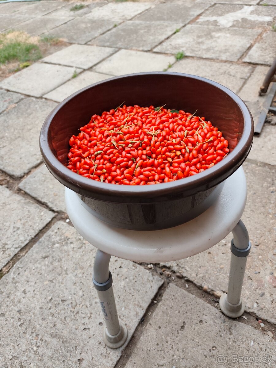 Goji - 2