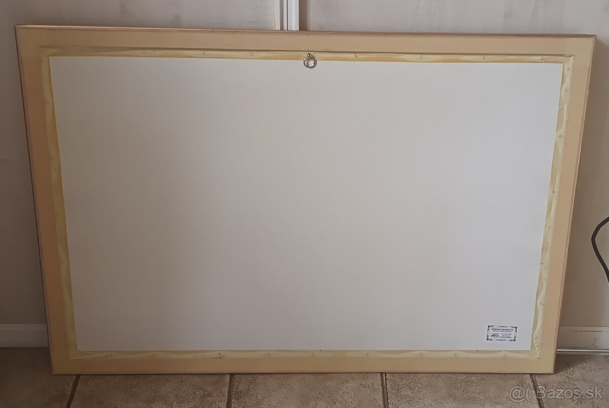 OBRAZ 100cmx70cm - IBA OSOBNÝ ODBER - 2