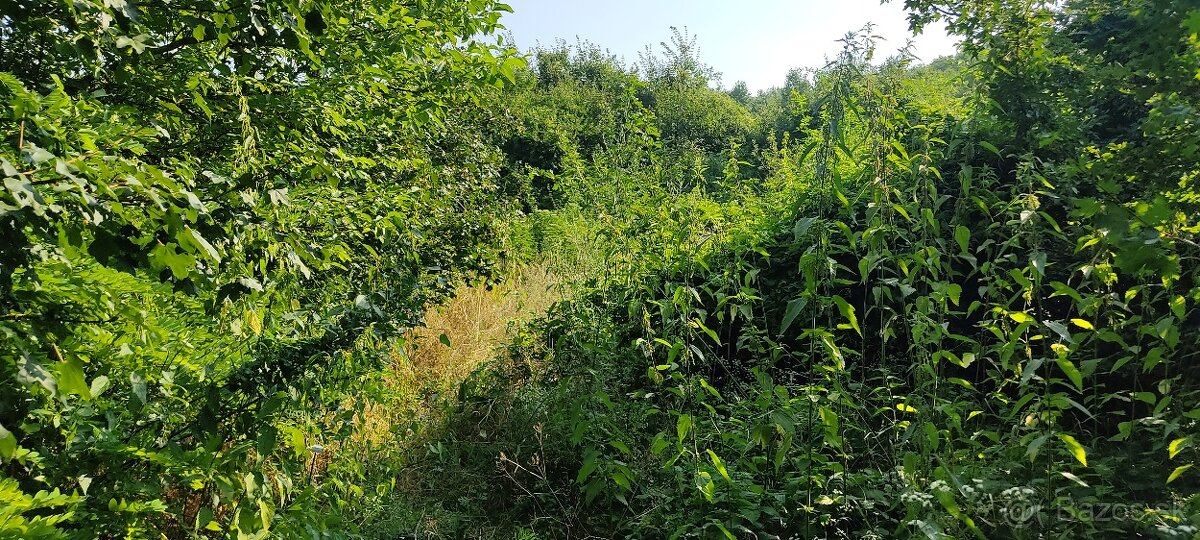 Veľký Pesek - Sikenica - 2