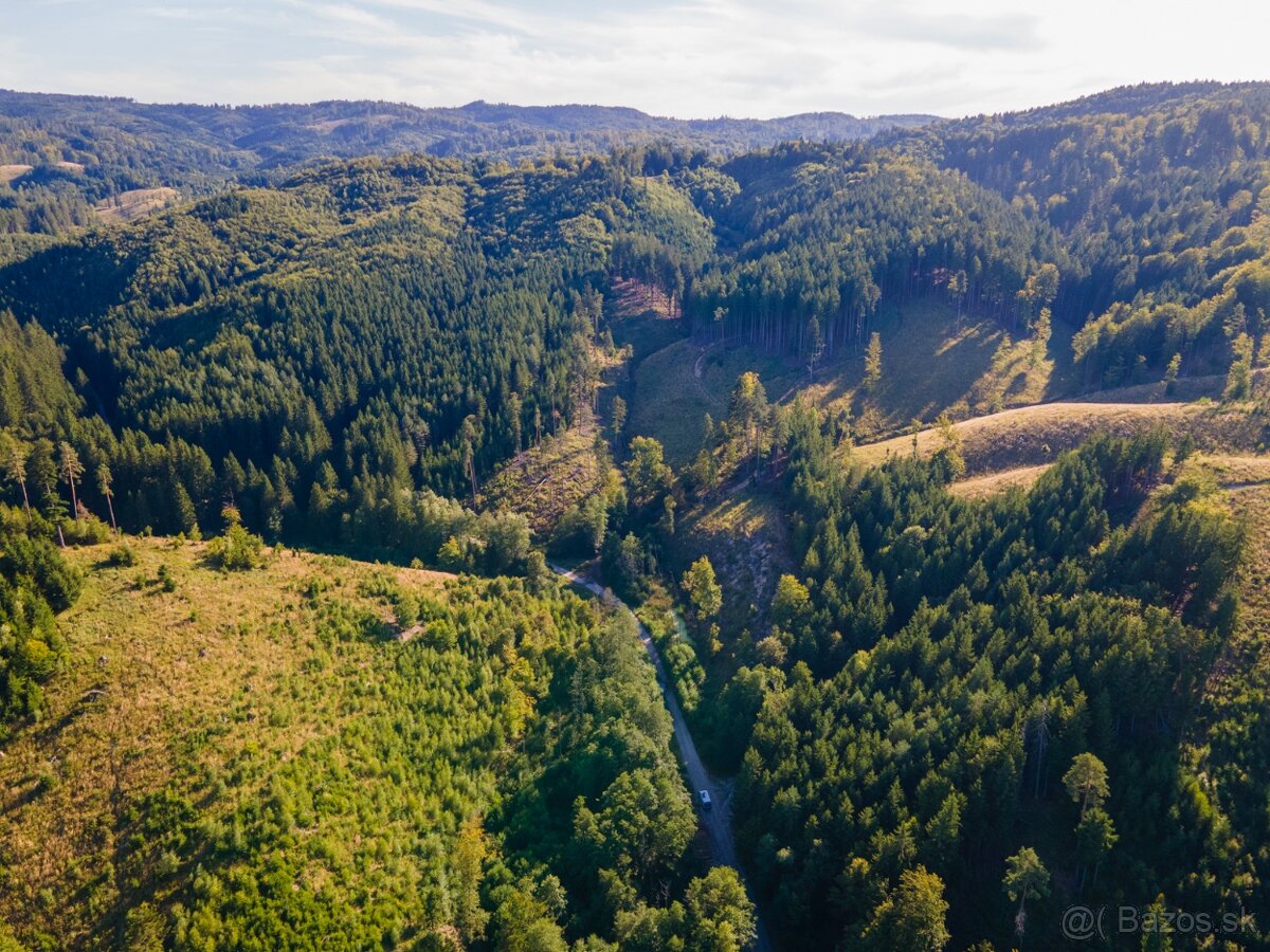 HOSPODÁRSKY LES V OBCI BUDIŠ V OKRESE TURČIANSKE TEPLICE - 2