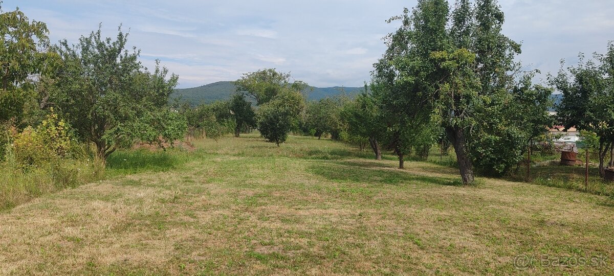 VYMENÍM DOM ZA BYT V KOŠICIACH - 2