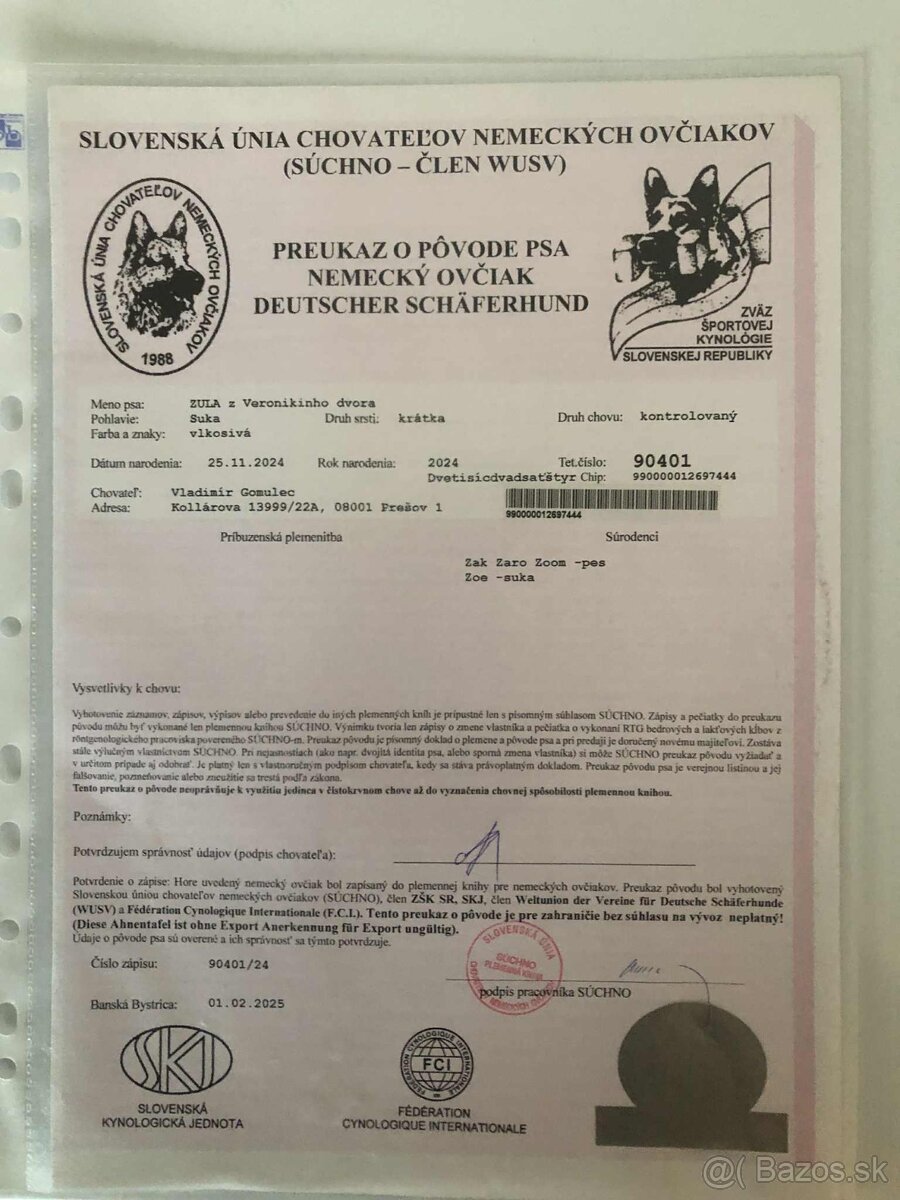 Nemecký ovčiak - 2