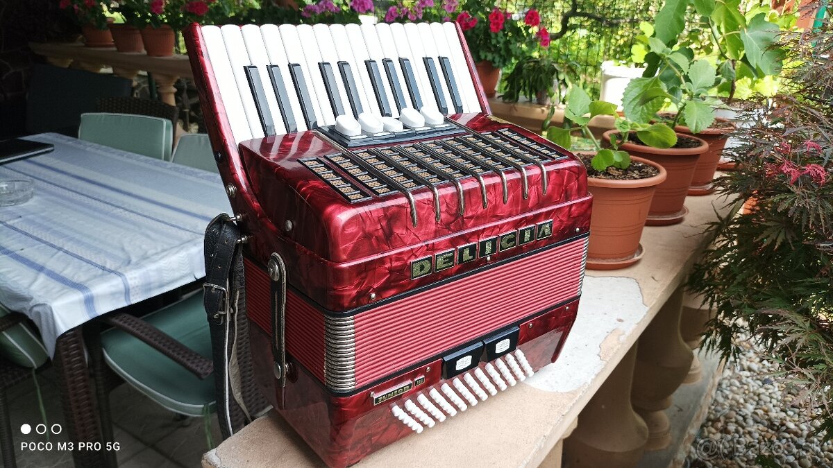 Harmonika -Akordeon.Delícia Junior 72basová. - 2