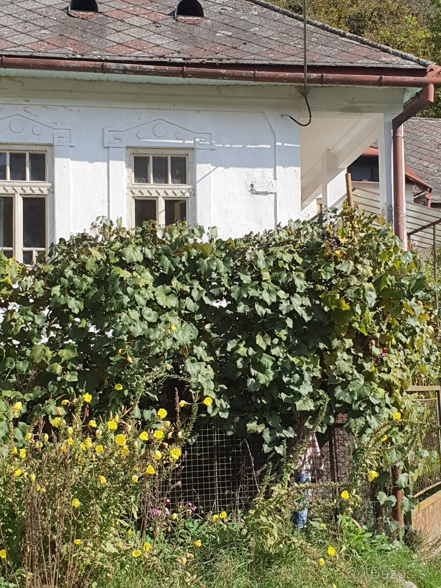 Sedliacka usadlosť na samote, možnosť poľovačky, farmy - 2