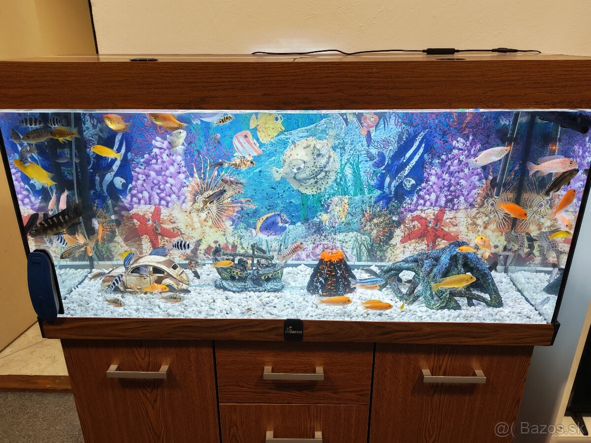 Predám akvárium - 2