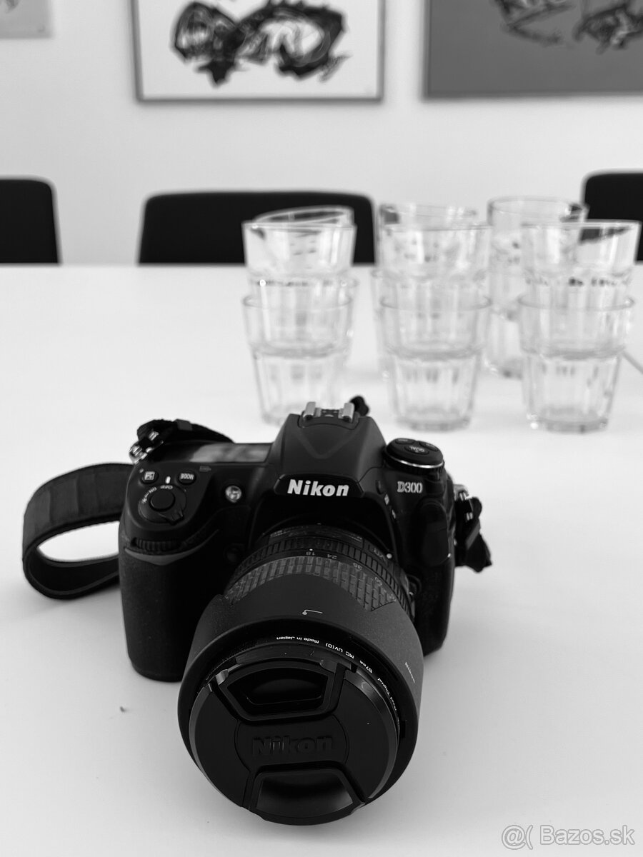 Nikon D300 - 2