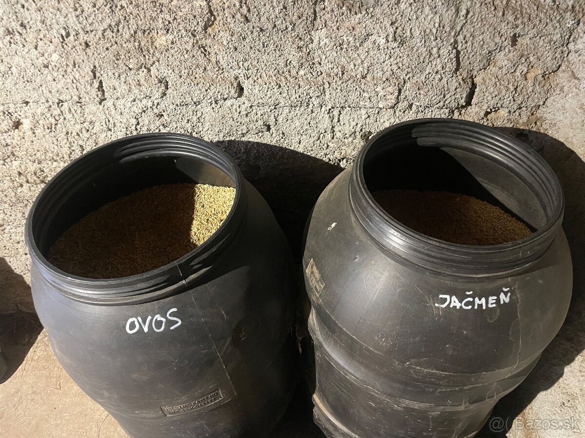 Jačmeň a ovos v plastových sudoch - 2