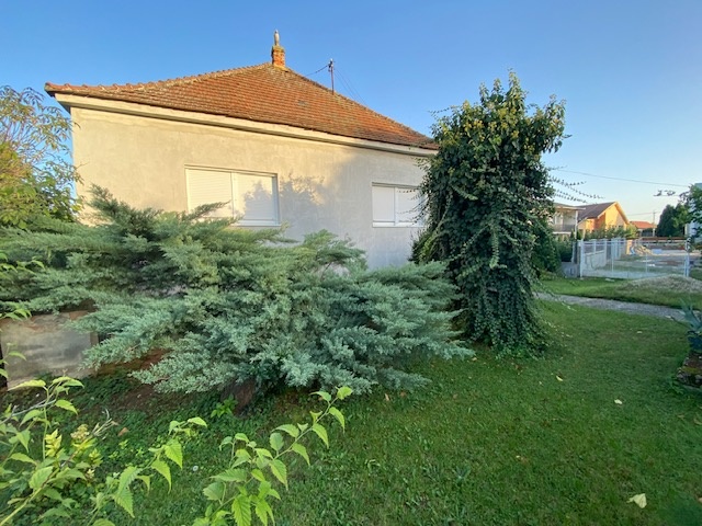 Predaj- 4 izbový dom s krásnou záhradou, Šurany - 2