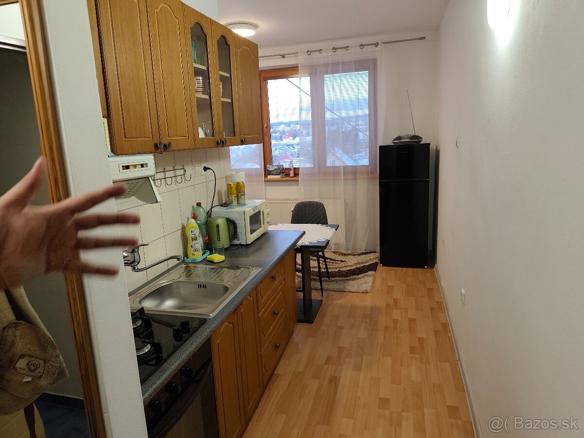 Prenájom 1 izbový byt - 2