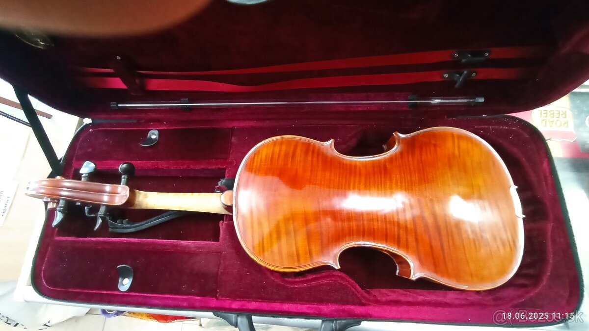 PREDAM OROFESIONALNU VIOLU - 2