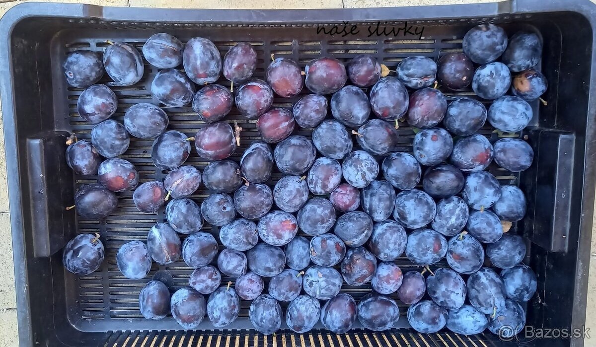 domáce džemy marhuľový, černicový, malinový, slivkový - 2