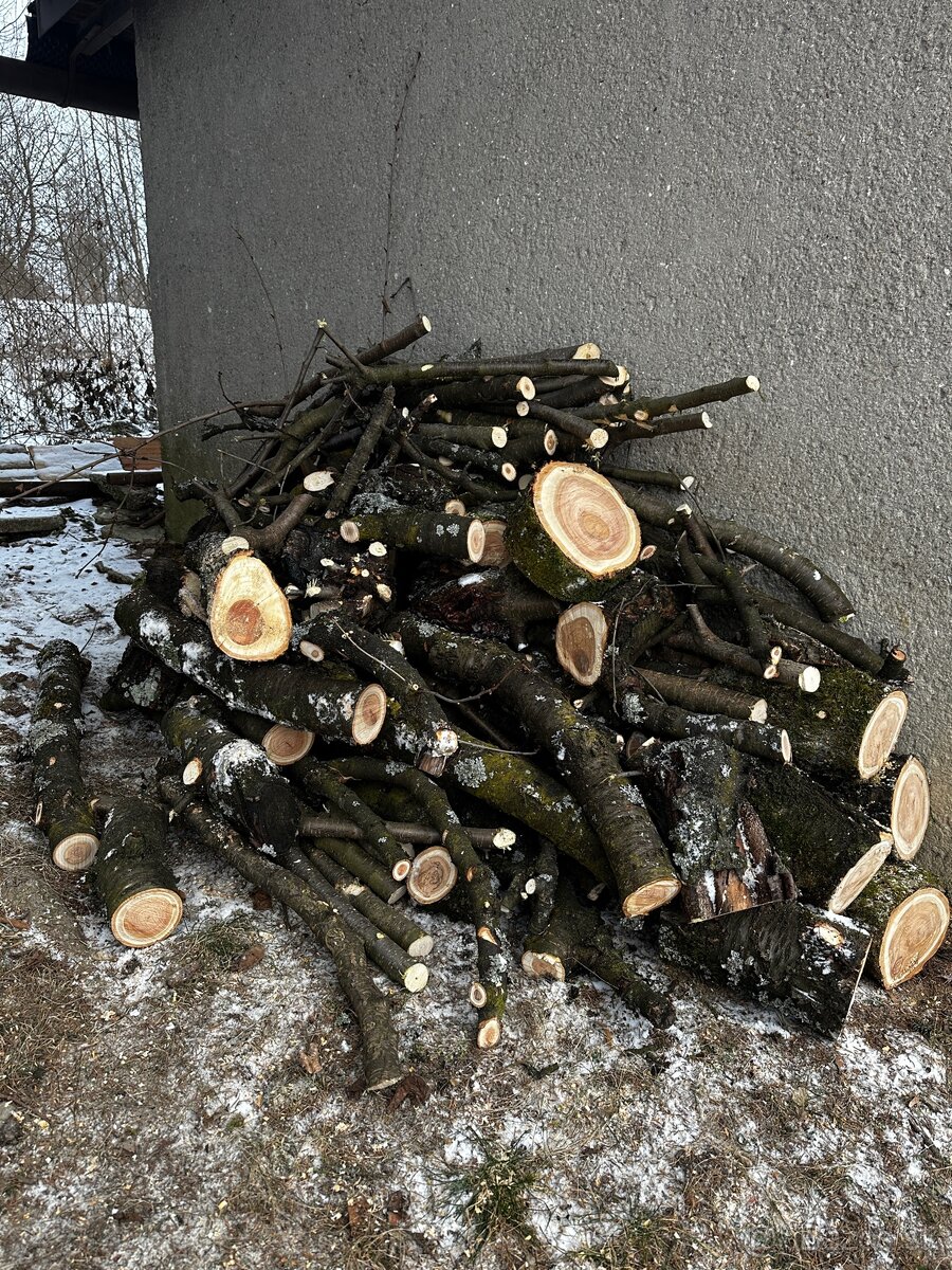 Drevo - čerešňa - 2