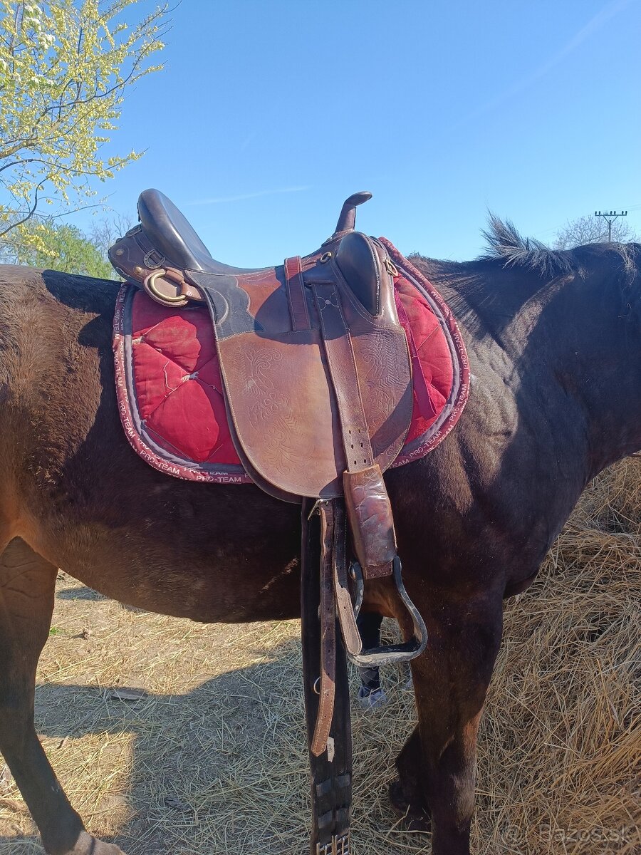 Austrálske sedlo - 2