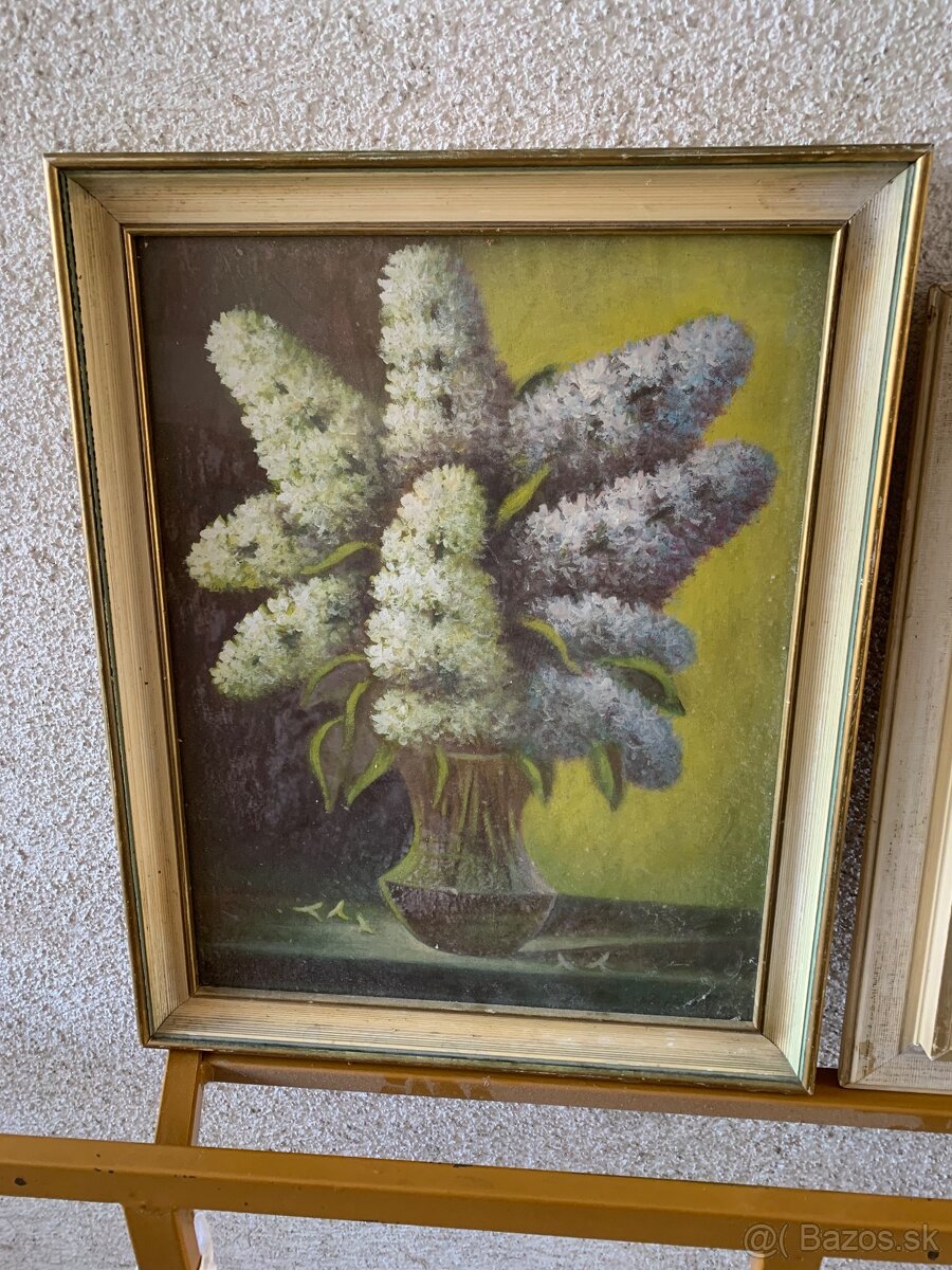 obrazy kvety 2 ks - 2