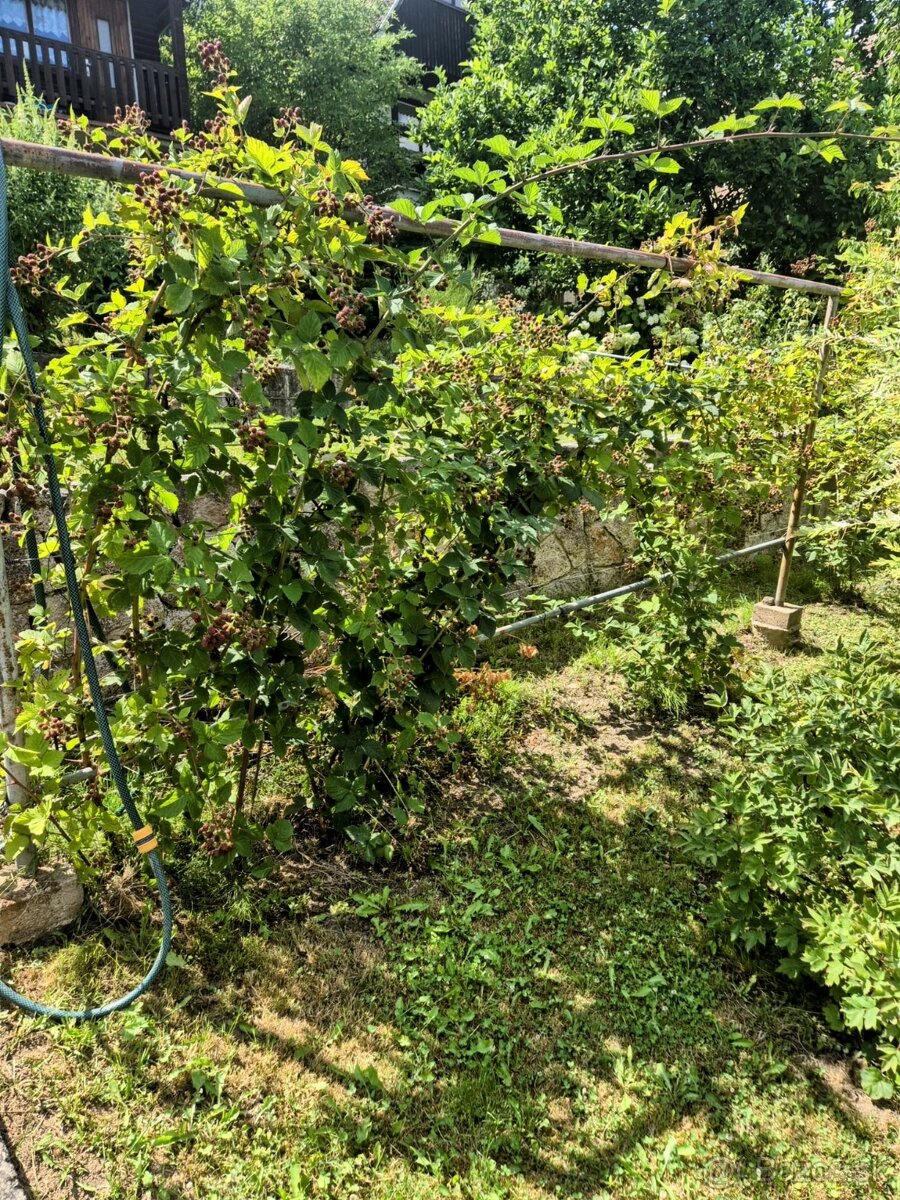 Predaj chatky vo vyhľadávanej Lutile iba 3 km od ZH. - 2