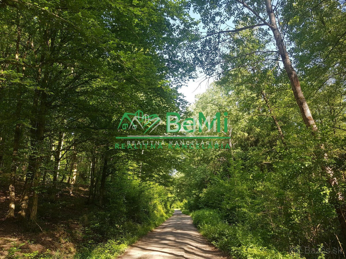 POZEMOK s prekrásnymi výhľadmi...Vyhne (057-14-DAR) - 2