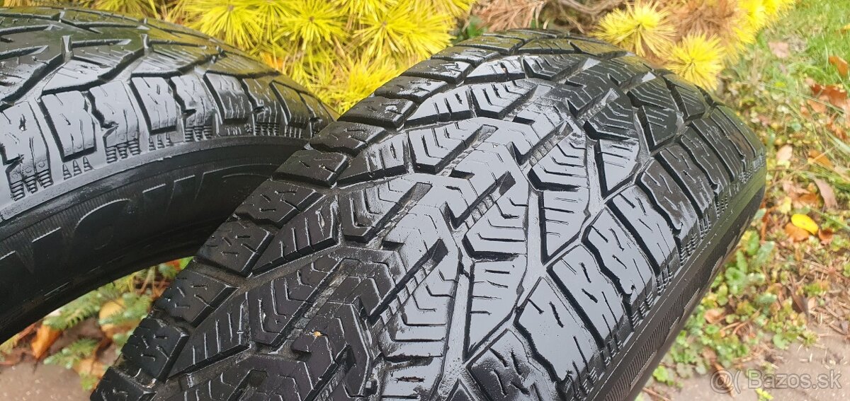 SEBRING SNOW, ZIMNE, 195/65 R15, 95T, M+S - 2