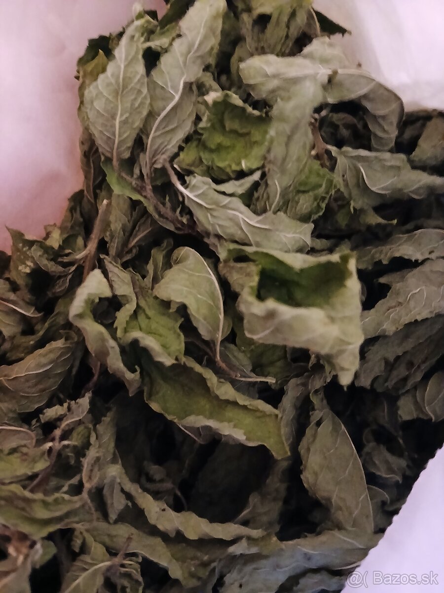 Liečivé bylinky - 2