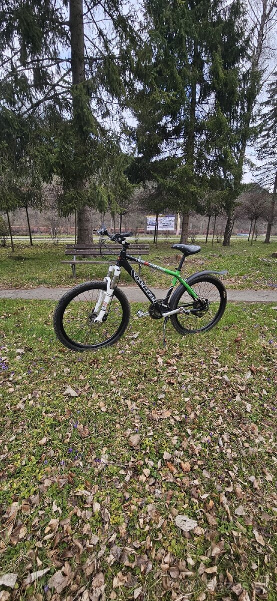 KENZEL SHADE X3 2024 - 2