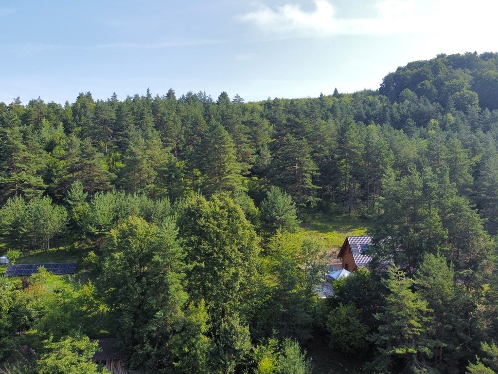 Rekreačný pozemok /1472 m2/, Hlboké nad Váhom - 2