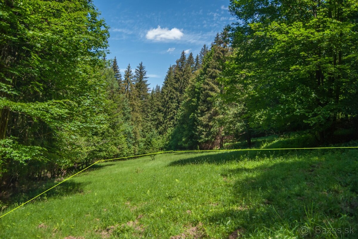 Predaj pozemku pri potoku 1536 m2, Turzovka - Turkov - 2